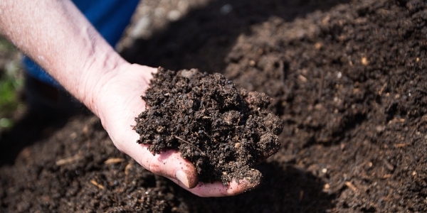 Certified Organic Compost 